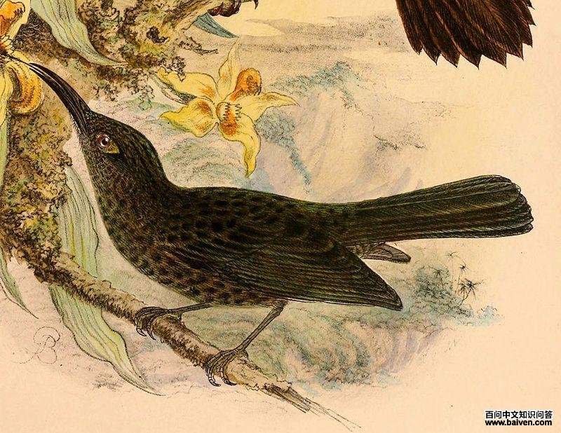 �����������ͼƬ