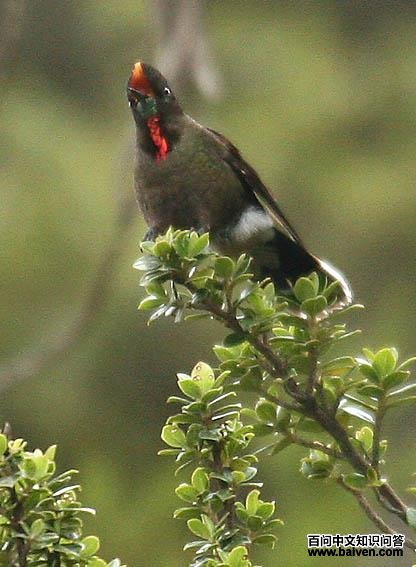 �����������ͼƬ