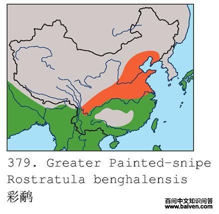 ���֣������ֲ�ͼ