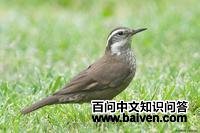 ������β��ȸ