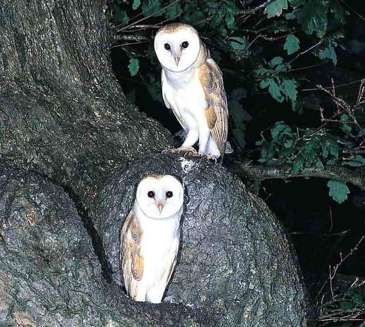 ���^���������ߣ�һ���ֺ�������ص㣺�㶫��ɽ������ʱ�䣺1997��08��16�գ�