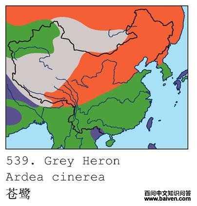 ���أ������ֲ�ͼ