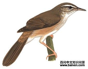 ��ü��ݺ����̬����ͼ