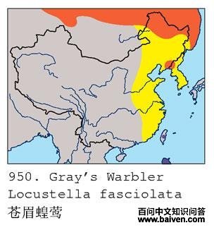 ��ü��ݺ�������ֲ�ͼ