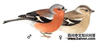 ��ͷ��ȸ����̬����ͼ