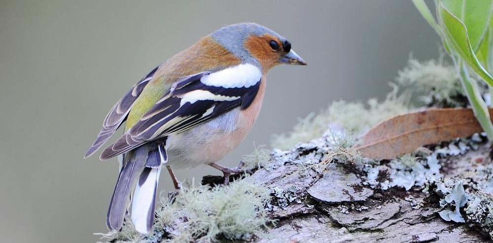 ��ͷ��ȸ��������Ӱ����701