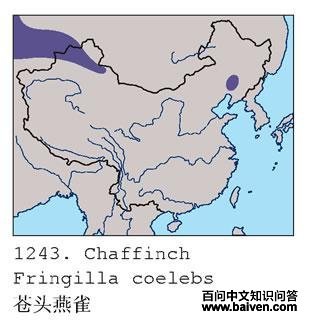 ��ͷ��ȸ�������ֲ�ͼ