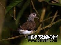 ���س���ͼƬ