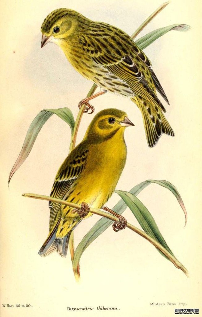 �ػ�ȸ��ͼƬ