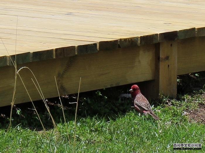 ��ȸ-�����ຣ�������걣����2013��6�£�