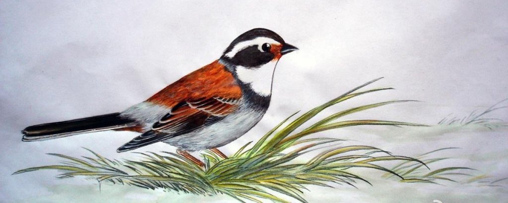 ��������� @����ɣ�����ƵĲ��c