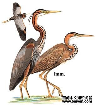 ���أ���̬����ͼ