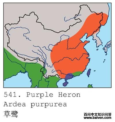 ���أ������ֲ�ͼ