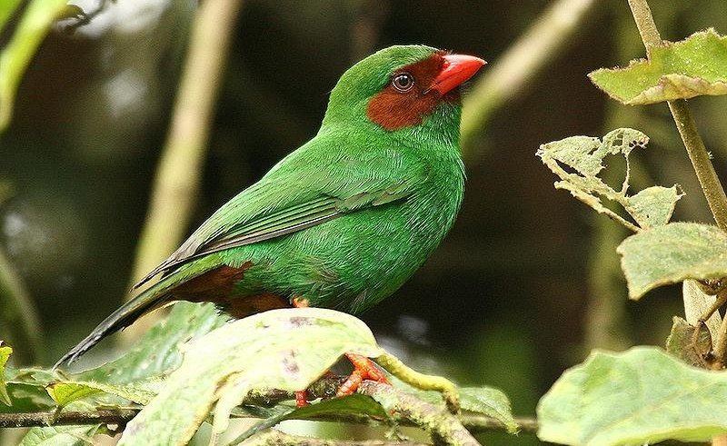 ��������ȸ��ͼƬ