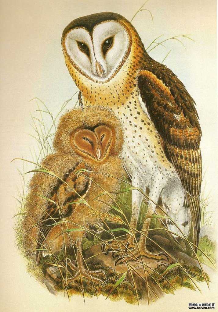 ���^������ͳ���