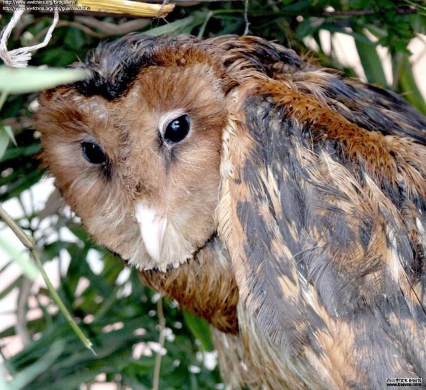 ���^���ǳ���