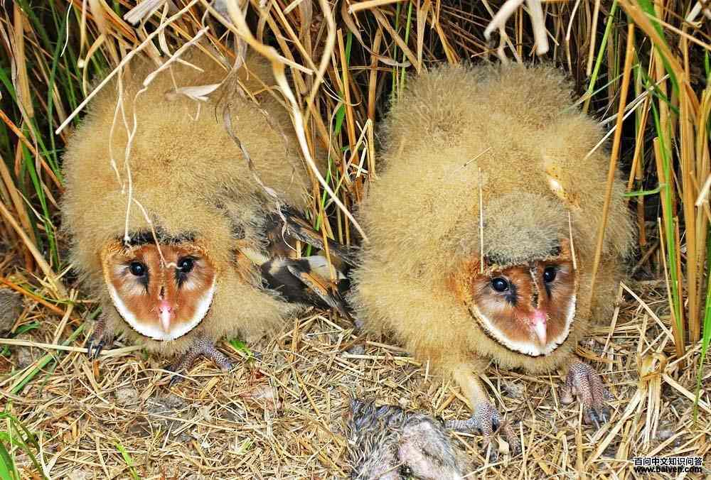 ���^������