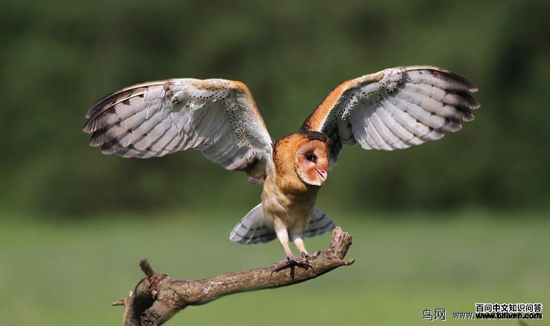 ���^������ͼ