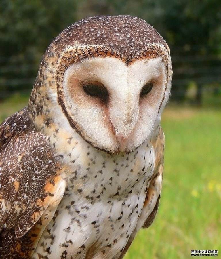 ���^�Ƶ�ͼƬ