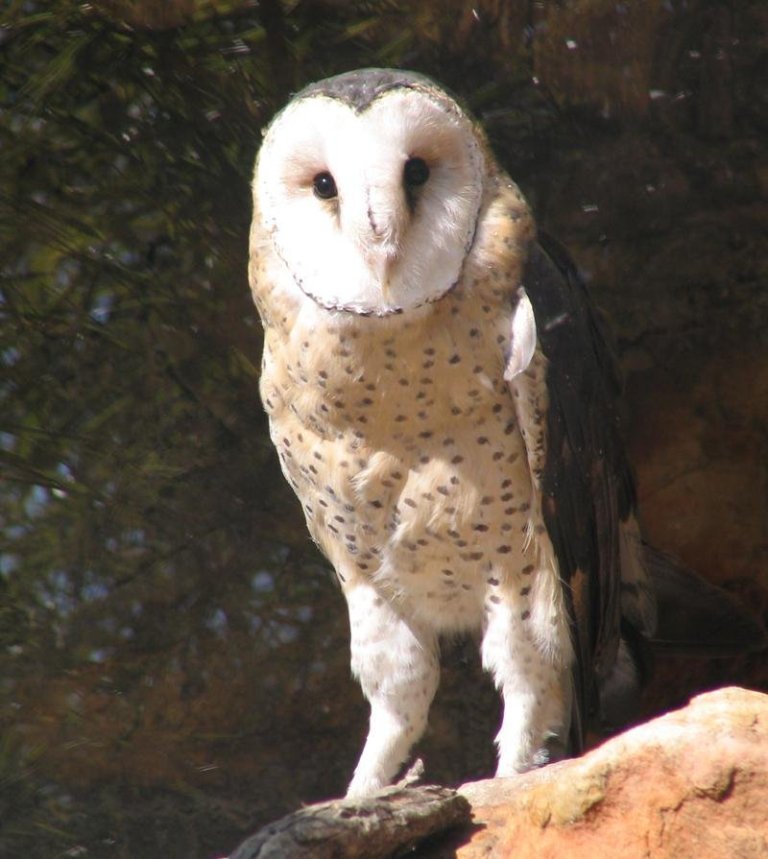 ���^����ͼƬ