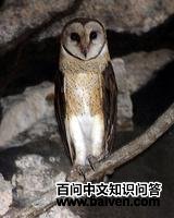 �������^