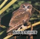 �������^