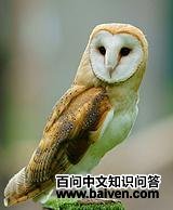 �������^