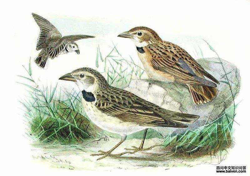 ��ԭ���飺��̬����ͼ