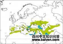 ��ԭ���飺�����ֲ�ͼ