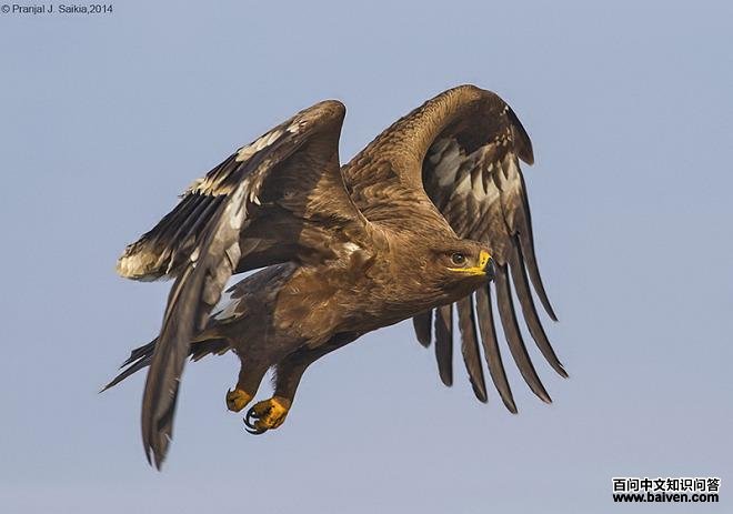 ��ԭ�񣺷���ͼ