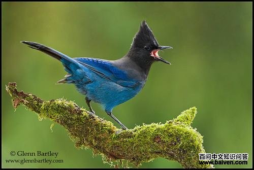 ������ѻ