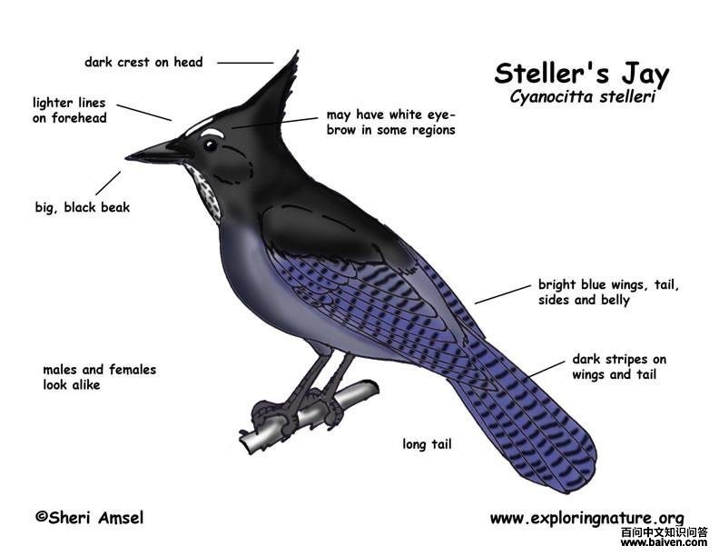 ������ѻ����ʶͼ