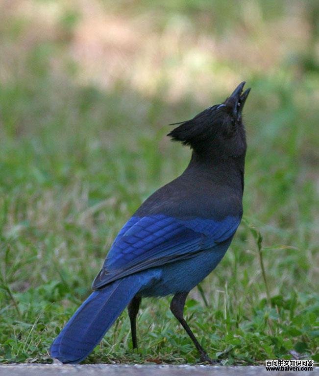 ������ѻ