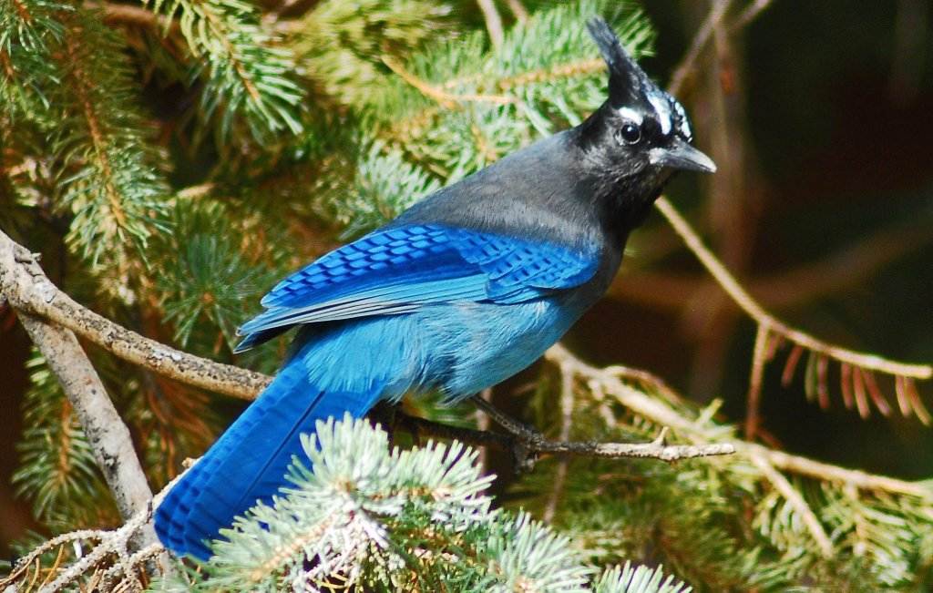 ������ѻ