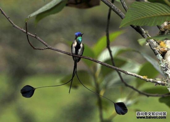 ����β����