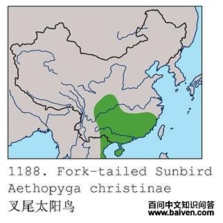 ��β̫����