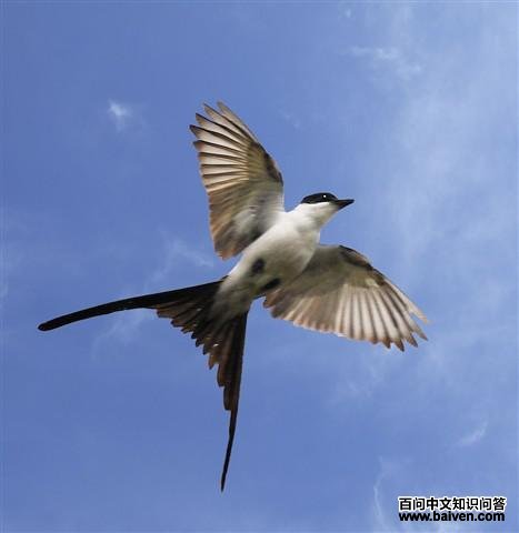 ��β�����l