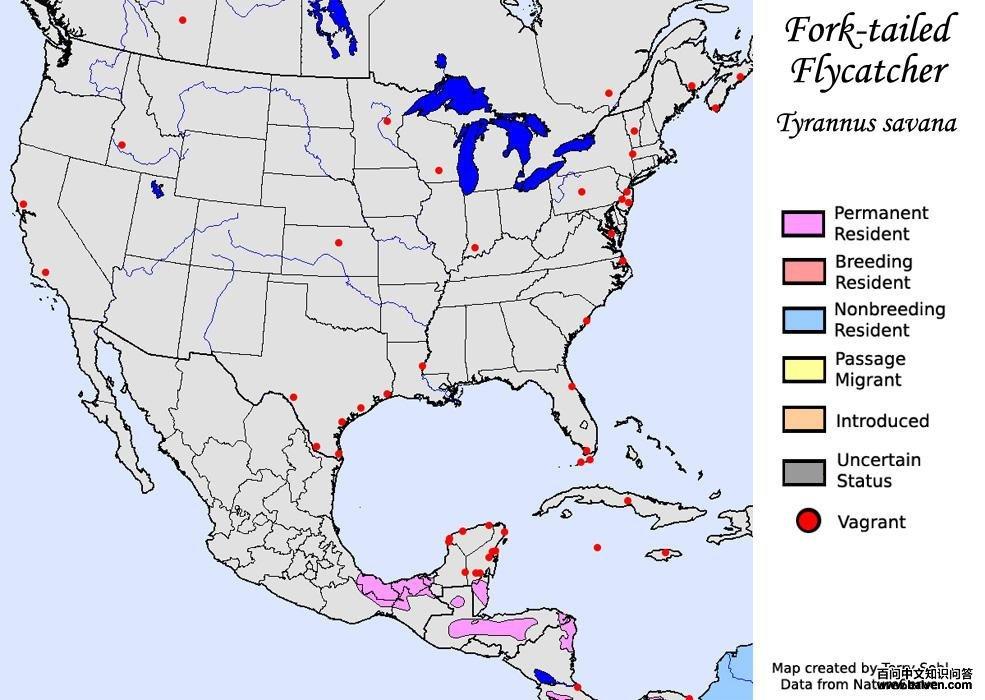 ��β�����l�������ֲ�ͼ