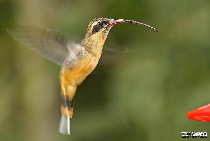 �踹�������ͼƬ