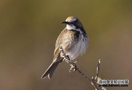 ��ڰ������ͼƬ