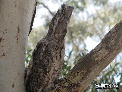 ��ɫ��𷣺�ܾ�ʱ