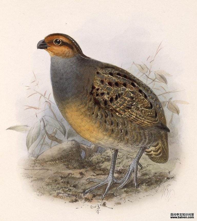 �����ȵ�ͼƬ