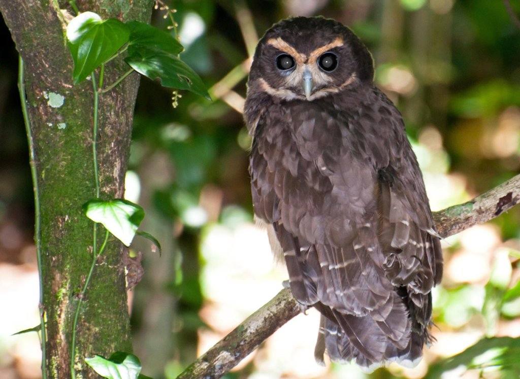 ��ü�۾��^������