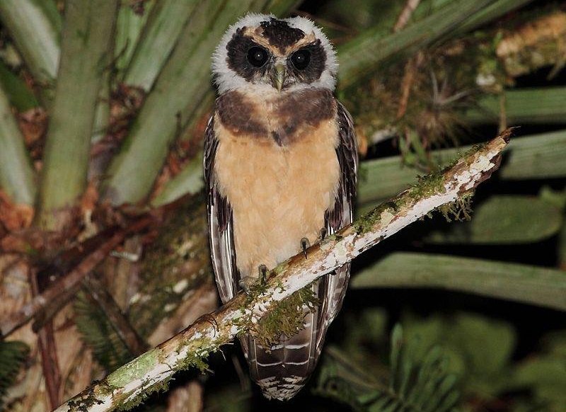 ��ü�۾��^������