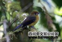 ���ػ������l��ͼƬ