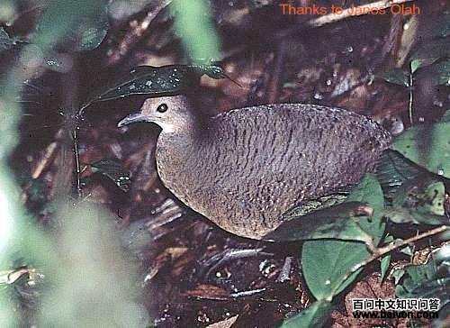 ������[����]��ͼƬ