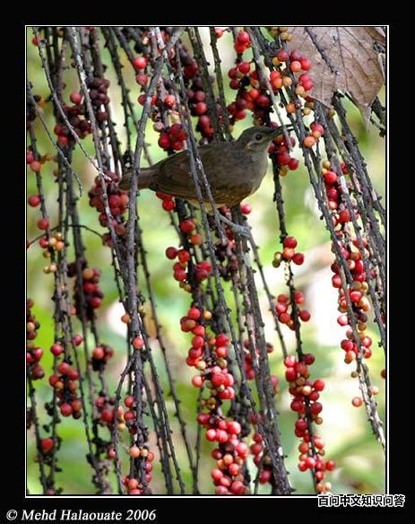 �����������ͼƬ