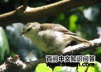 �鵺���ݺ��ͼƬ