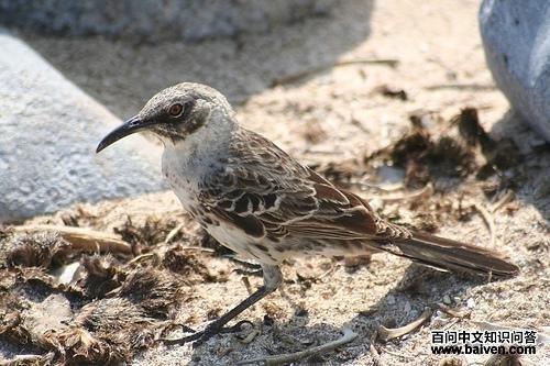 ���˹���