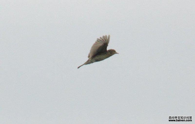 ����ҵ�ͼƬ